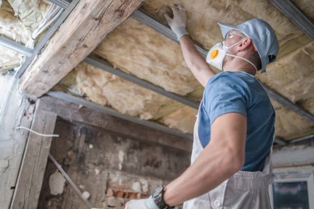 Best Home Insulation Services  in Spencerville, OH