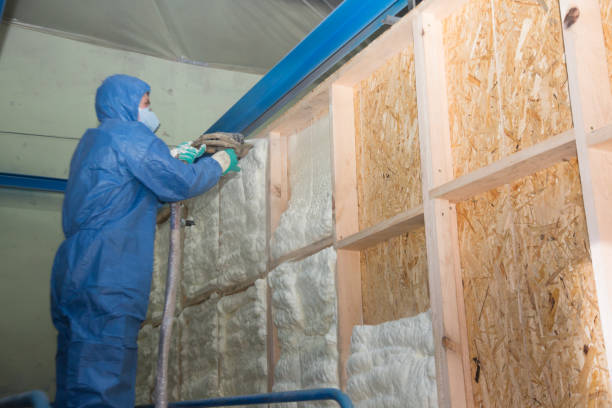 Best Garage Insulation Installation  in Spencerville, OH